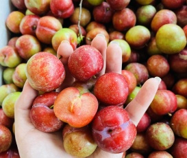MẬN HẬU