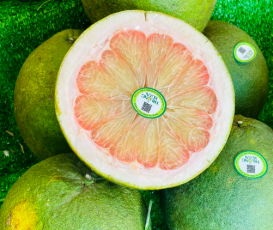 BƯỞI DA XANH RUỘT ĐỎ
