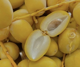CHÀ LÀ TƯƠI ẤN ĐỘ