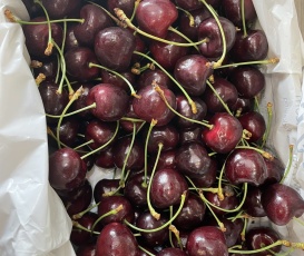 CHERRY ÚC