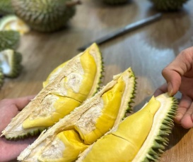 Sầu riêng