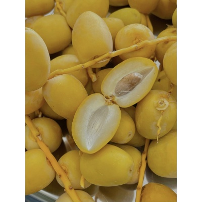 CHÀ LÀ TƯƠI ẤN ĐỘ