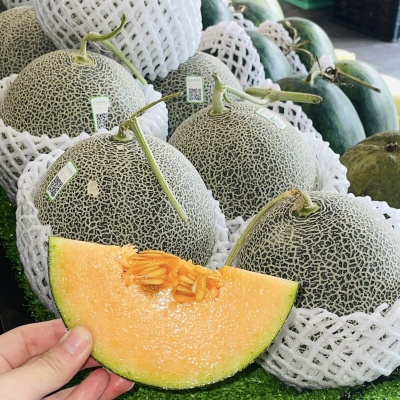 DƯA LƯỚI MẬT