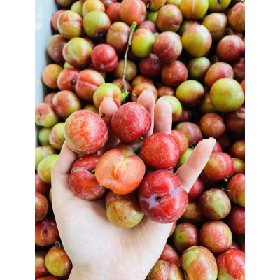 MẬN HẬU
