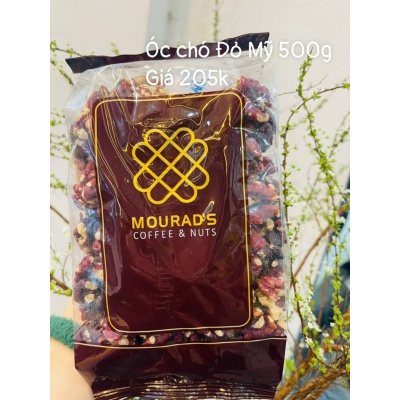 Óc chó đỏ Mỹ