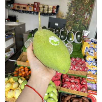 XOÀI CÁT HOÀ LỘC