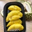 Sầu riêng