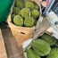 Sầu riêng