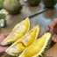 Sầu riêng
